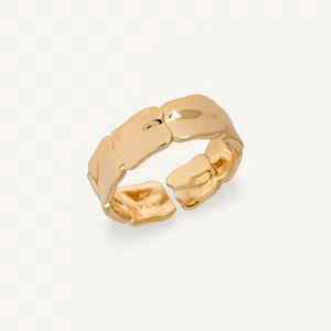 ANILLO VIDAL&VIDAL
